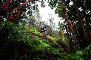 BIB: 
                            <button type="button" onclick="openModal(26201223)" class="btn btn-primary btn-sm float-right btn-popup" data-toggle="modal" data-target=".modal-high-quality">
                        <i class="fas fa-shopping-cart"></i> Add to Cart
                    </button>
                                            <button type="button" onclick="isThisMe(26201223, true)" class="btn btn-success btn-sm float-right btn-popup btn-isme hidden" data-toggle="tooltip" data-placement="bottom" title="นี่คือรูปของคุณใช่ไหม คลิกที่นี่เพื่อเอาเข้าอัลบั้ม">
                        <i class="fas fa-plus"></i> Add to album
                    </button>
                    <button type="button" onclick="isThisMe(26201223, false)" class="btn btn-warning btn-sm float-right btn-popup btn-isnotme hidden">
                        <i class="fas fa-ban"></i> Remove from album
                    </button>